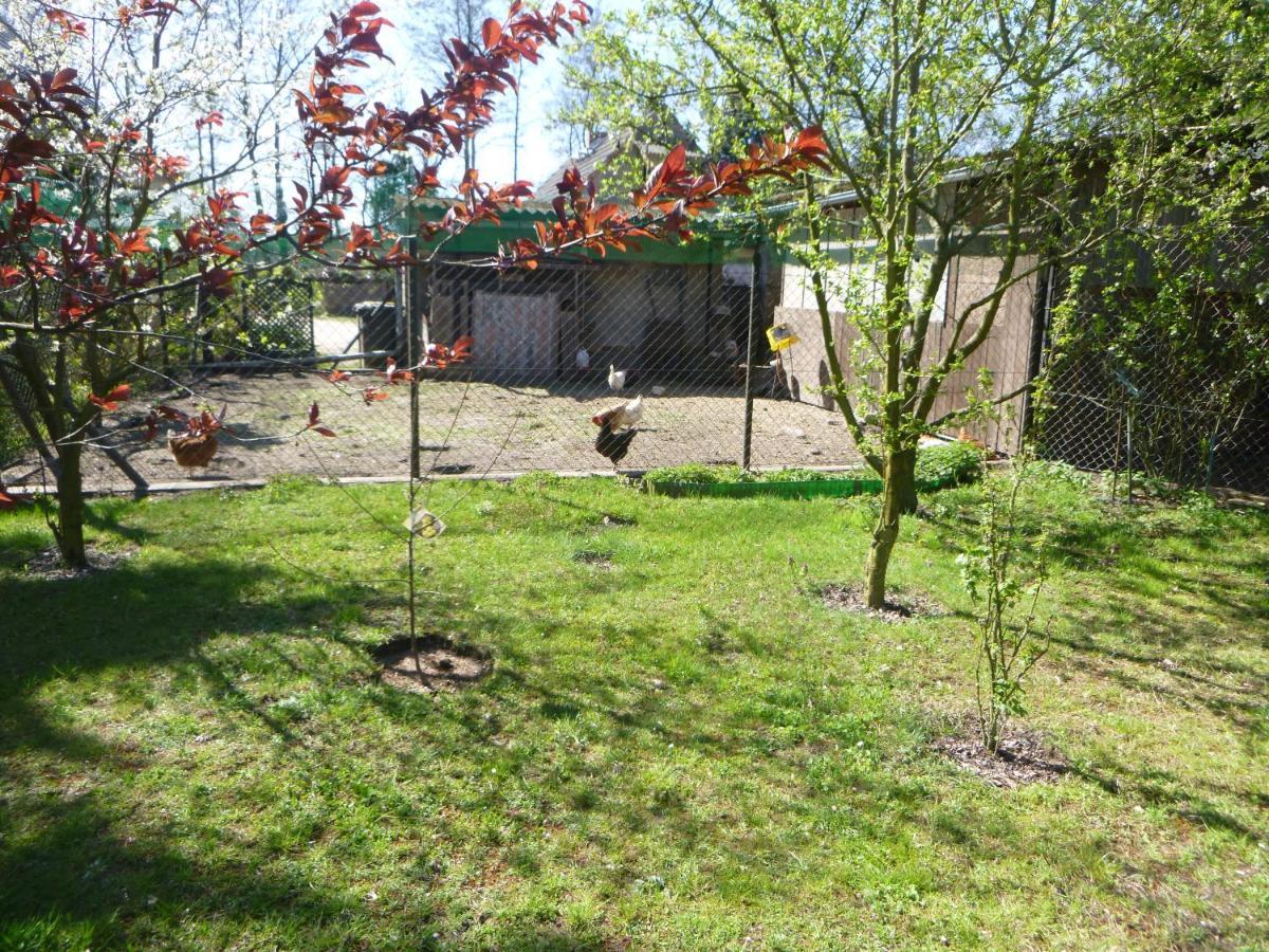Villa Maja Guhrow Exterior foto